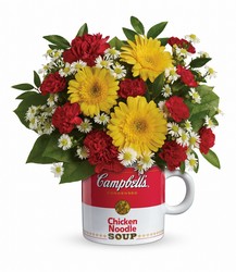 Campbell's Healthy Wishes by Teleflora from Victor Mathis Florist in Louisville, KY